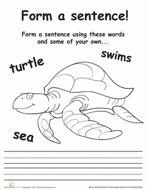 sea-turtle-sentences-handwriting-grammar