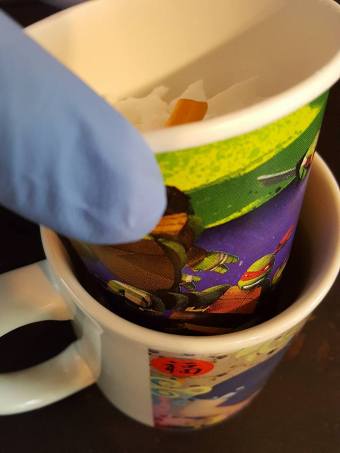 17862570_10155291930392566_3968971151147521065_n